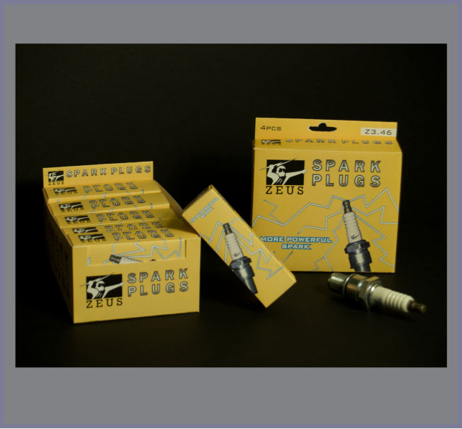 Zeus Spark Plugs
